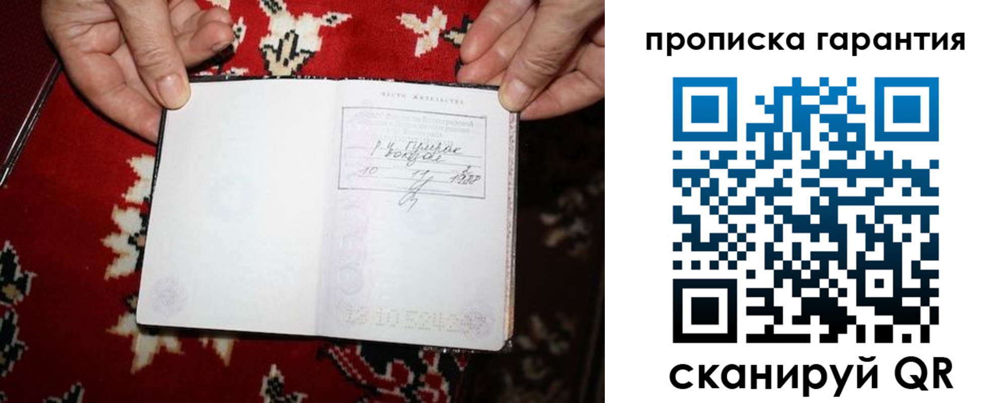 прописка гарантия в Александровске
